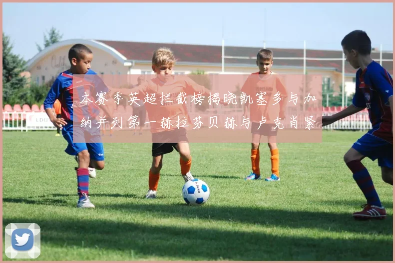 本赛季英超拦截榜揭晓凯塞多与加纳并列第一赫拉芬贝赫与卢克肖紧随其后